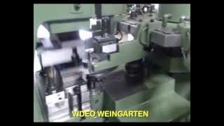WEINGARTEN 1