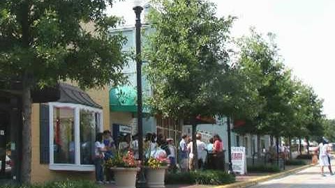 Select Sustainable Tree Trust Web Video