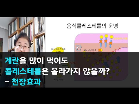 콜레스테롤낮추는방법