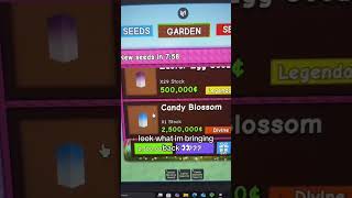 its for tommorows update chat #fyp #growagarden #growagarden #foryou #roblox #candyblossom #easter