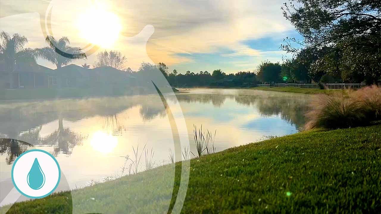 Sunrise Mist On Lake With Birds Chirping