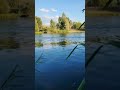 ты неси меня рекаааааааа !!!