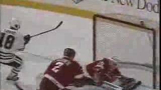 NHL 96 PC - Detroit Red Wings team video