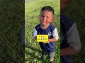 PLEASE HELP US GET TO 50K рџ ЏрџЏЅ Subscribe Creator Please Trending Shortsviral Shorts Viral PLEASE HELP US GET TO 50K рџ ЏрџЏЅ Subscribe Creator Please Trending Shortsviral Shorts Viral