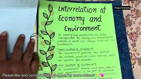 Class 12 Economics Project File on Environment and Sustainable Development  #projectexpress #cbse