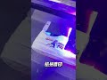 6090 UV Printer Printing Custom Shoes | Video Positioning UV Printing