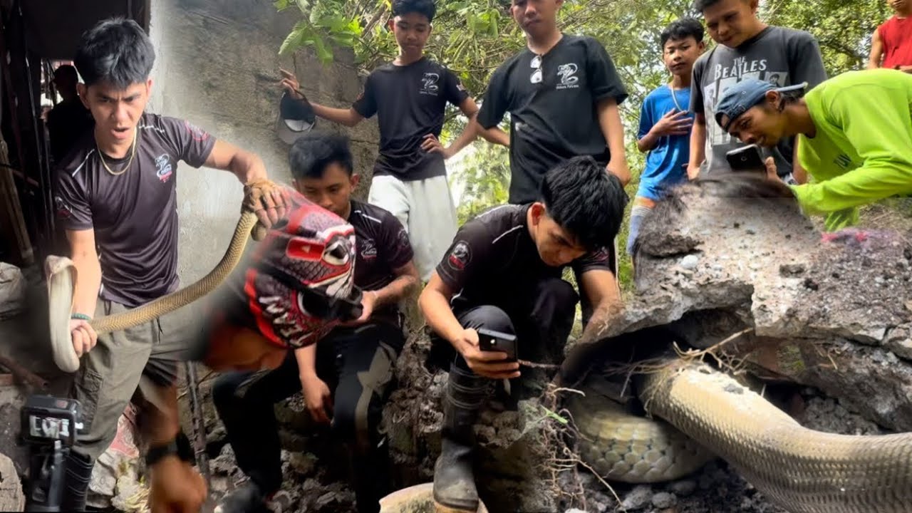 SA KANINA FLOORING NANIRAHAN ANG KING COBRA NAPAKA LAKI . 
