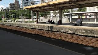 218次樹林發車經由北迴線開往花蓮的TEMU2021+TEMU2022普悠瑪自強號