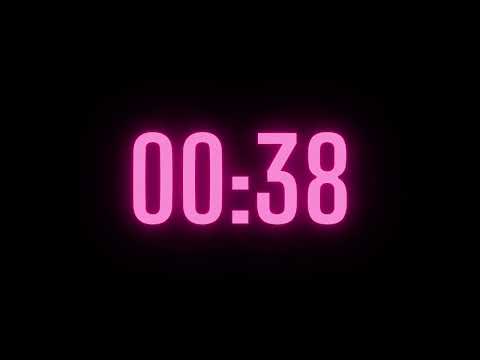 66 Second Timer with Alarm