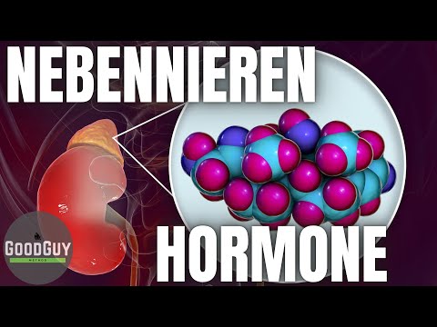 Video: Produzieren Nebennieren Insulin?