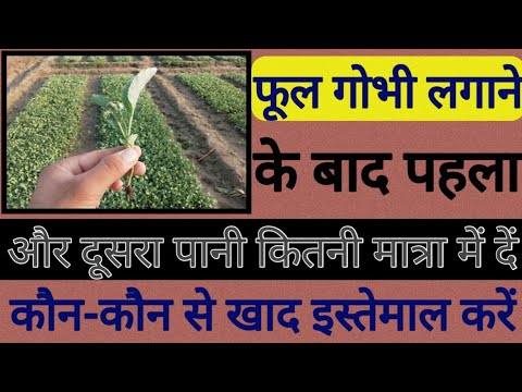 वीडियो: रूस में छुट्टियों पर कर: पक्ष और विपक्ष। रिसॉर्ट शुल्क