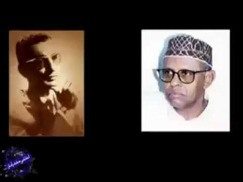 الشاعر لطفي جعفر أمان