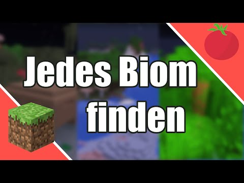 Video: Wie findet man ein Kiesbiom?