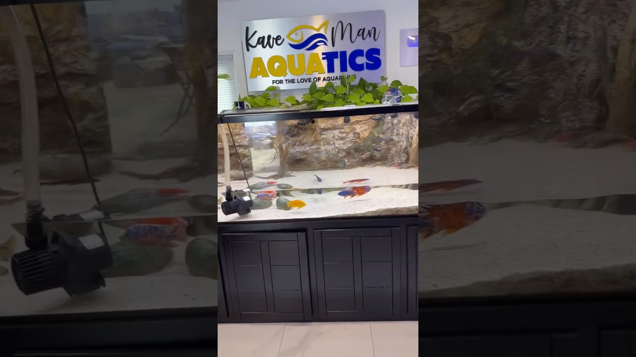 What’s the point of this HUGE water change? 🤔💦