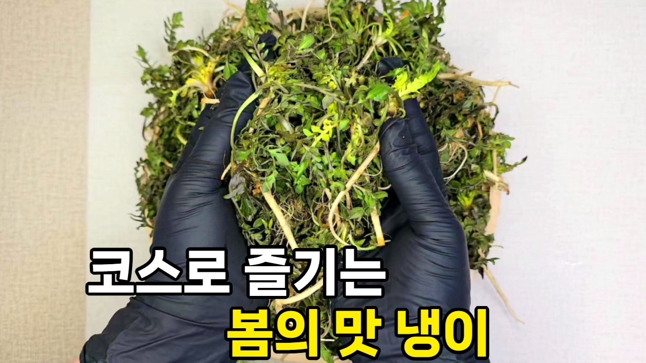 봄 제철 채소 냉이, 냉이 된장국, 냉이 바지락 솥밥, 냉이무침, 냉이튀김 꿀팁, 황금레시피
