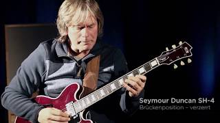 Fgn Masterfield Sagmeister Special E-Gitarre