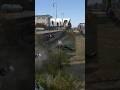 🔥Атмосферне виживання | DayZ #dayz  #viral  #youtubeshorts