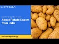 Everything you need to know about potato export from india