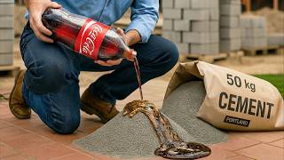 Pour Coca-Cola into cement and see what happens next! Millions of people don't know this