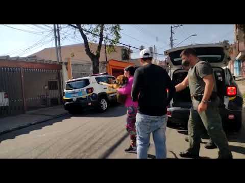 Guarda Ambiental de São Bernardo resgata cachorro ilhado no córrego Ribeirão dos Meninos (2)