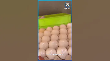 تاجر في البيض يبيع 3 بلاطوات بيض ب95 ألف 