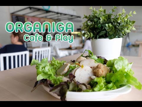 Organika Cafe and Play ร้านอาหารเพื่อสุขภาพย่านนนทบุรี