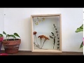 How to Make a Pressed Flower Frame