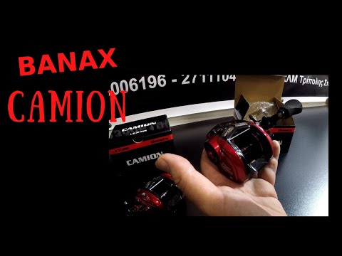 Banax Camion 305