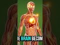 This video may be downloaded and reused.#health #humanbody #anatomy