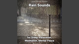 Rain Sounds for Sleep and Relaxation Pt. 16