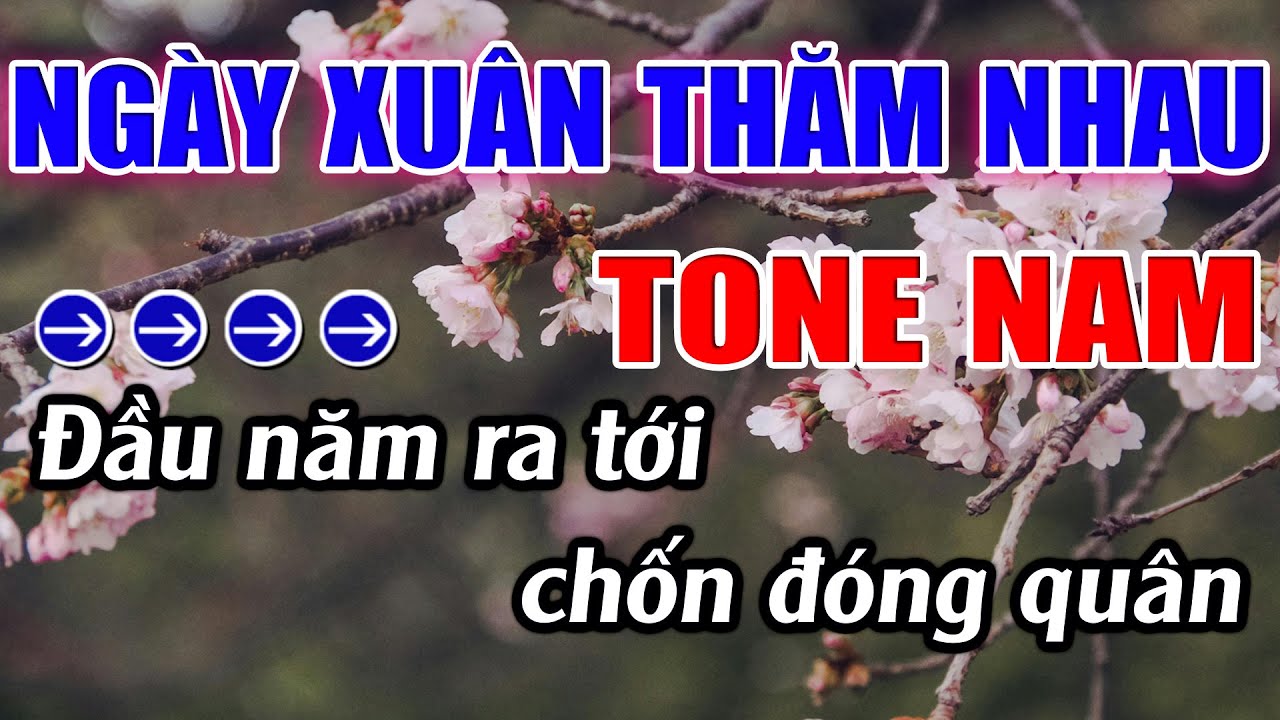 Ngày Xuân Thăm Nhau Karaoke Tone Nam Karaoke Lâm Beat - Beat Mới