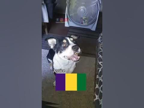 mardi gras color meaning