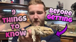 10 things to know before getting a Bearded Dragon