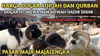 MEWAH‼️HARGA DOMBA GARUT AQIQAH DAN QURBAN PASAR MAJA-MAJALENGKA