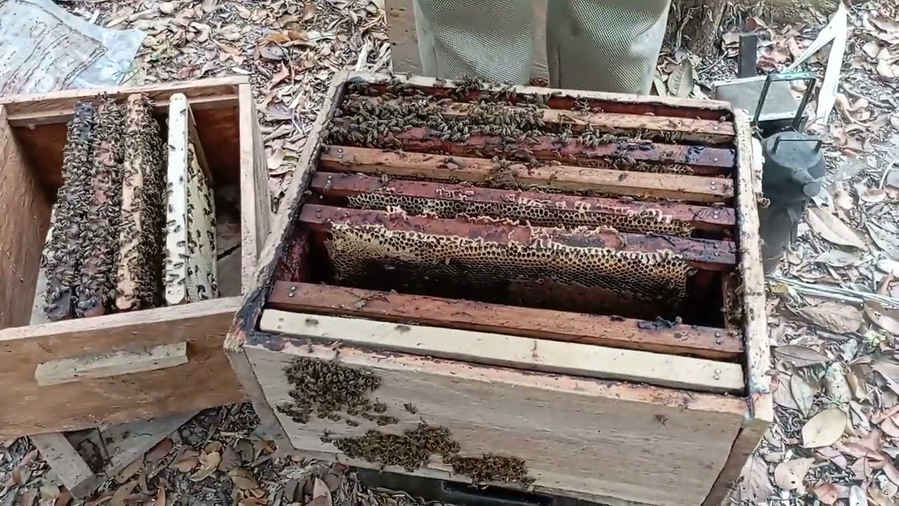 dos formas para montar alzas