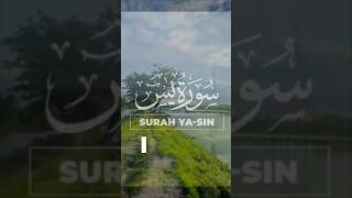 surah ya-sin part1 #quran #surah #yasin #ytshorts #ytviral