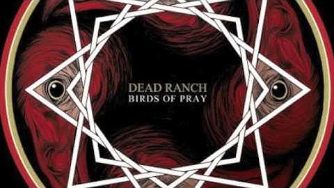 Touch Fuzzy Get Dizzy