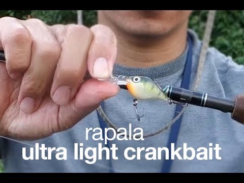 Rapala Ultra Light Crankbait Quick Test 