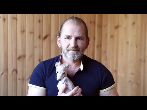 Видео: 4 начина да се отървете от кучешките уши