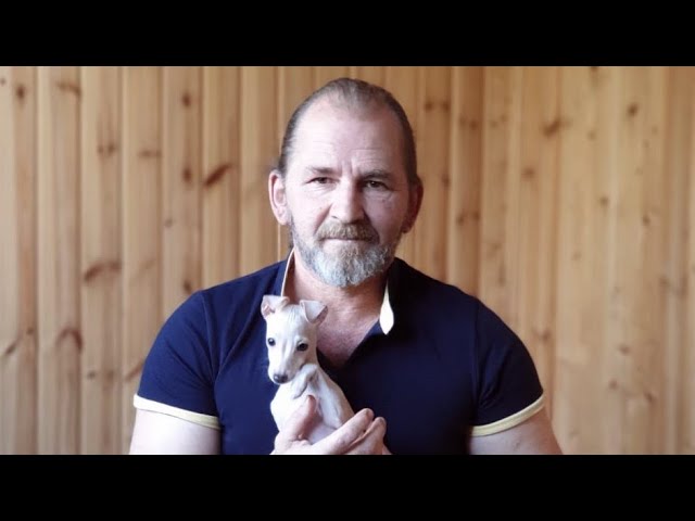 нет команды для щенка нет команды для щенка