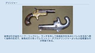 デリンジャー Youtube デリンジャー Youtube