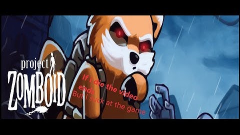Project Zomboid but when I die the video ends