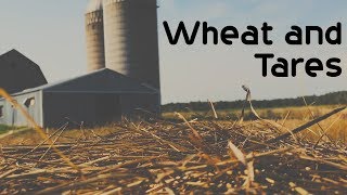 The Wheat and the Tares Parable