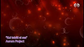 Aurum Project - Kui teisiti ei saa