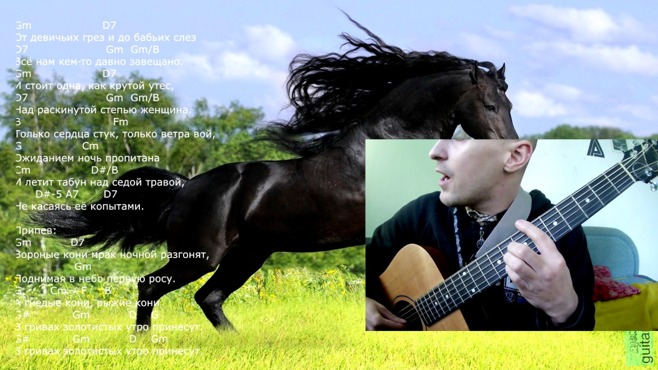 Черный конь песня. Конь на гитаре. Песня про лошадь. Вороные кони Дятлов.