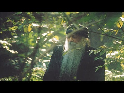 ОШО  Тайна тайн  Глава 6   Рожденные с радостью 1