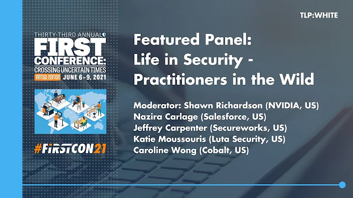 Life in Security - Practitioners in the Wild (Panel)