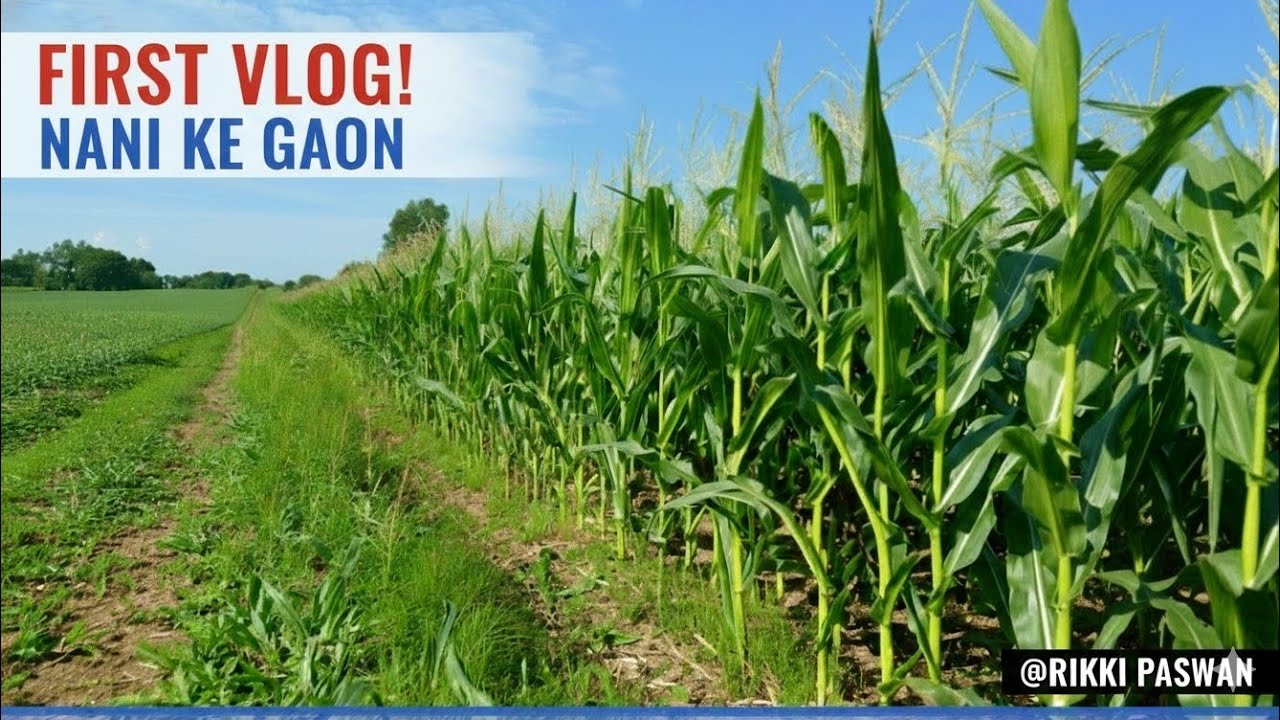 Visiting Nani House After Long Time ❤️ | My First Vlog 🏠✨