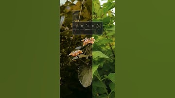 Before and after 😍 | VN app color grading tutorial 🔥. #photography #trending
