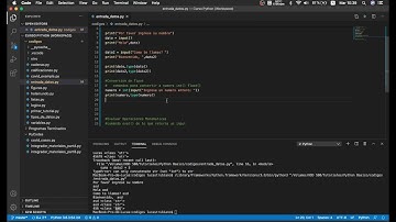 4.Bonus - Entrada de Datos - input()